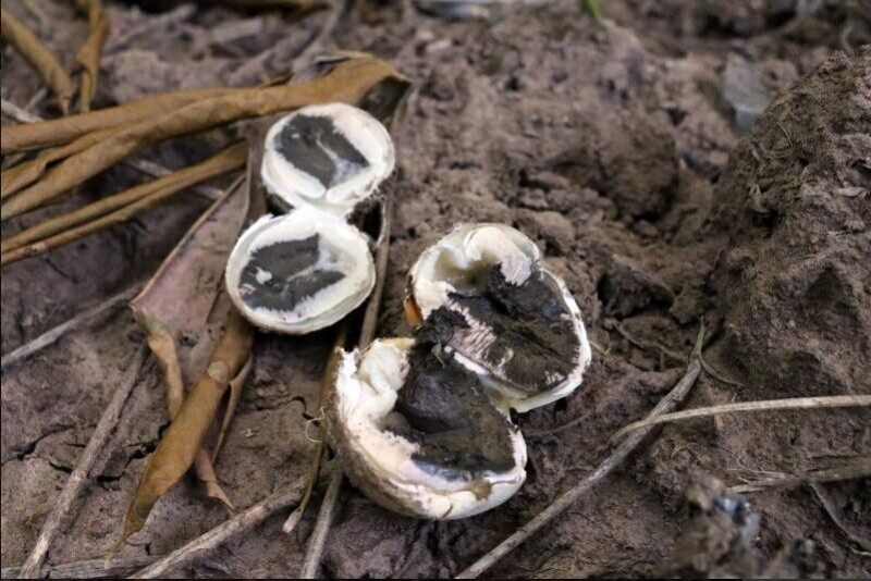 圖片關鍵詞 圖片關鍵詞