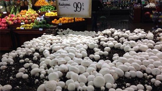 圖片關鍵詞 圖片關鍵詞