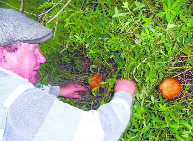 圖片關鍵詞 圖片關鍵詞