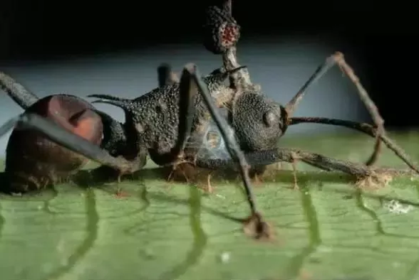 圖片關(guān)鍵詞 圖片關(guān)鍵詞