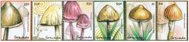 圖片關鍵詞 圖片關鍵詞