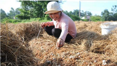 圖片關鍵詞 圖片關鍵詞