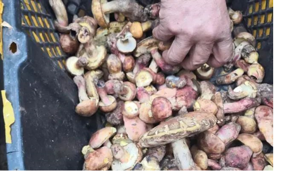 圖片關鍵詞 圖片關鍵詞