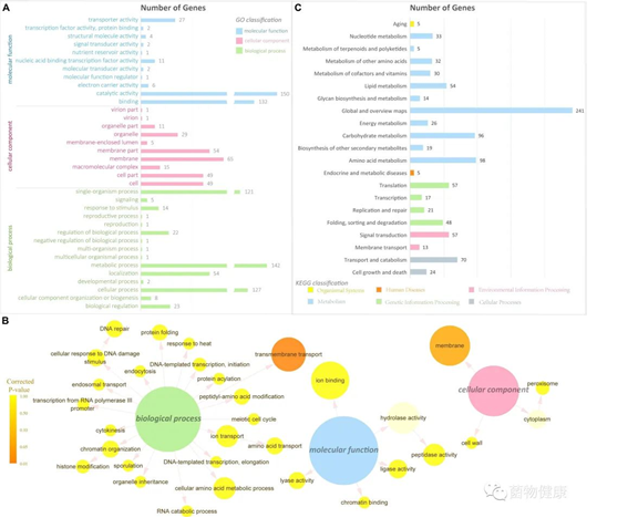 圖片關(guān)鍵詞 圖片關(guān)鍵詞
