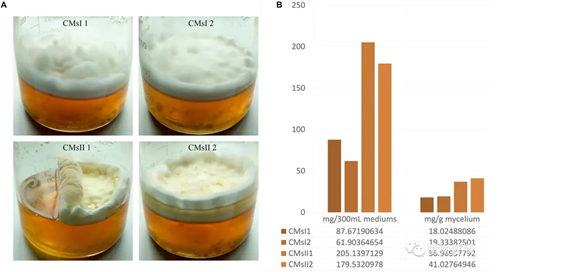圖片關(guān)鍵詞 圖片關(guān)鍵詞