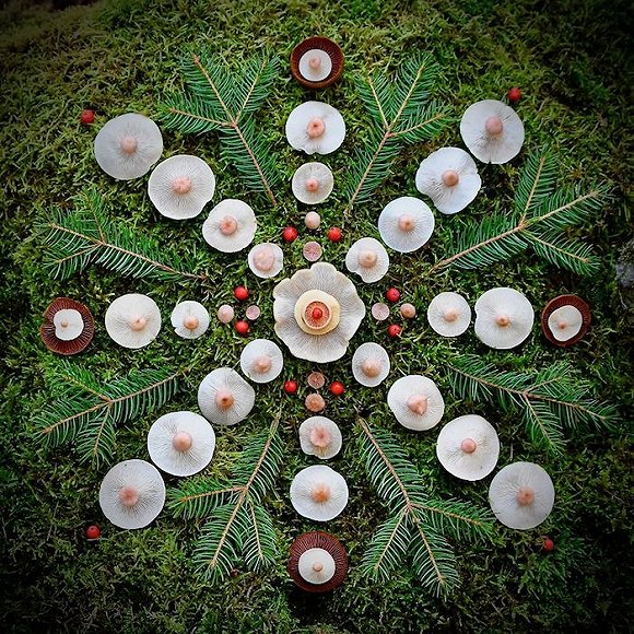 圖片關(guān)鍵詞 http://img2.jiemian.com/jiemian/original/20171123/151141524436967300_a580xH.jpg