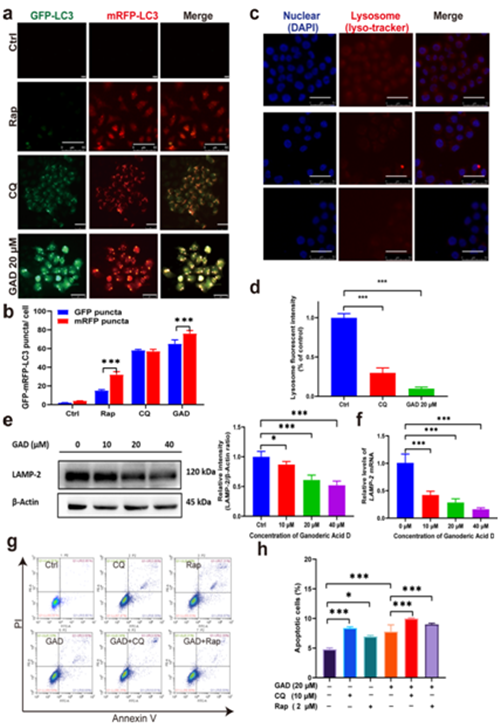 圖片關(guān)鍵詞 https://mmbiz.qpic.cn/mmbiz_png/tViaTicjwibVZnnuxTI0eMzfuPJd8DTSZHDp5tPfaEh4E0MKurh2TEDl85EczLPQH2ch2tsE2nicR38OASP1qqOrKw/640?wx_fmt=png