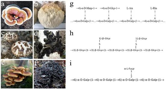 圖片關(guān)鍵詞 https://mmbiz.qpic.cn/mmbiz_jpg/OnRbAd1HL44da8qpWCnn2RmJEB4eNMYmMFnSKrIGdEib6Qq9lw58pwQCwiajSYbf5w2cPIu5r2MYMYuiatq2cc3PQ/640?wx_fmt=jpeg