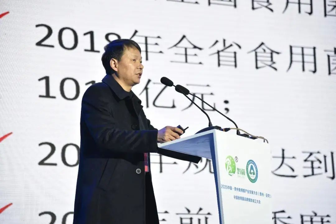 圖片關鍵詞 https://mmbiz.qpic.cn/mmbiz_jpg/tViaTicjwibVZmgEXXCALToc7mAB2rFo1LnIyiajaUj6yicXVjXw4mLWuXX7uOH1mWTA4A7jcb0PCXre6UsP6jNvtSQ/640?wx_fmt=jpeg