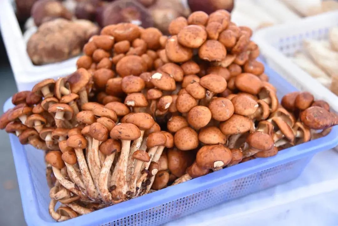 圖片關鍵詞 https://mmbiz.qpic.cn/mmbiz_jpg/tViaTicjwibVZmgEXXCALToc7mAB2rFo1LnqIVTLzuEn7sZxQibqovVJU5Jap9uiazoWP1Libh6M5h6JZFX0QlwlNCkA/640?wx_fmt=jpeg