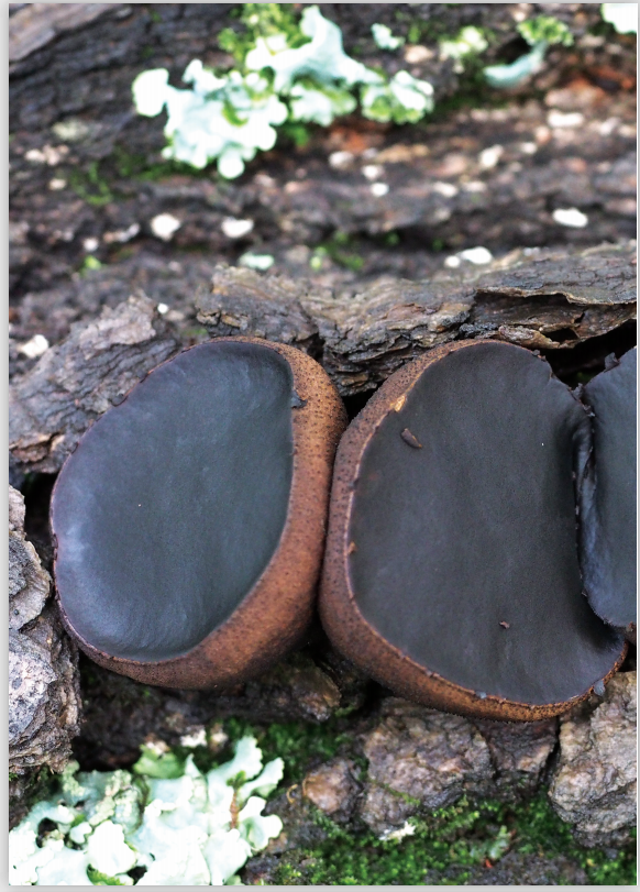 圖片關(guān)鍵詞 圖片