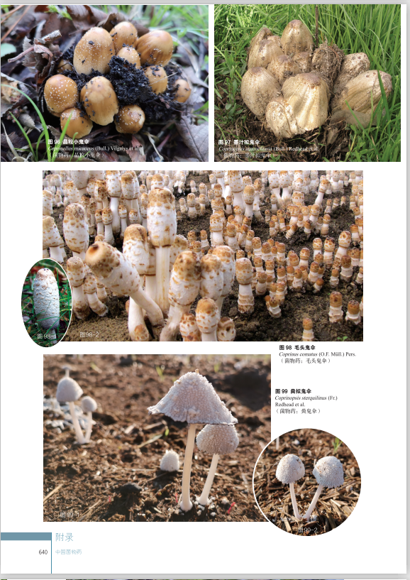 圖片關(guān)鍵詞 圖片