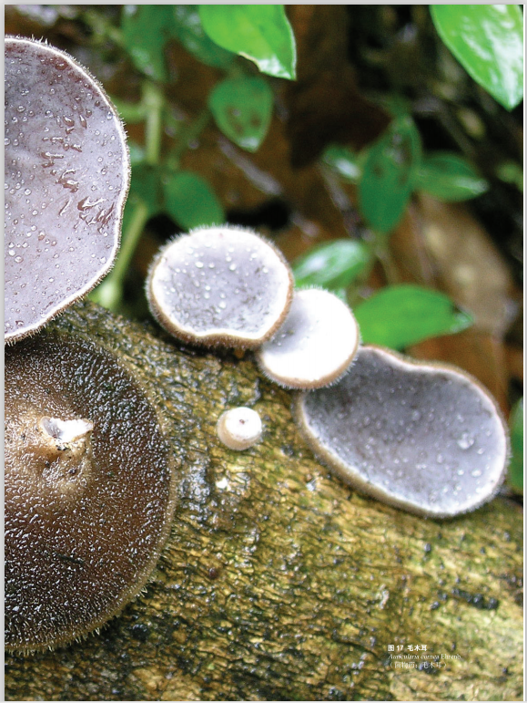 圖片關(guān)鍵詞 圖片