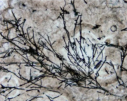 圖片關鍵詞 圖片關鍵詞