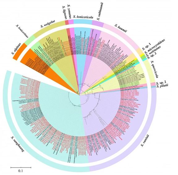 圖片關鍵詞 圖片關鍵詞
