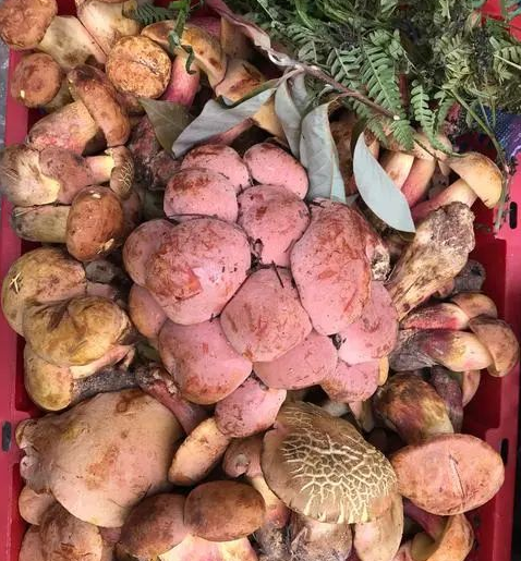 圖片關鍵詞 圖片關鍵詞