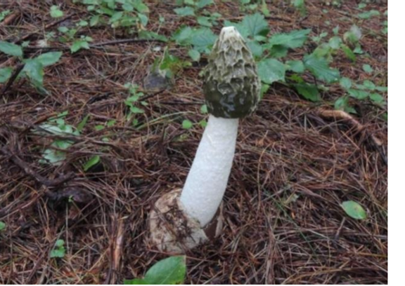 圖片關鍵詞 圖片關鍵詞