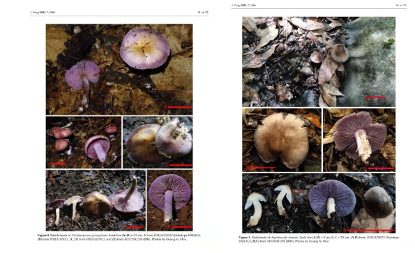 圖片關鍵詞 https://mmbiz.qpic.cn/mmbiz_png/OnRbAd1HL46g40TAzJF5YWtMuUz3YPkkma3ORGTiaibpNibZUCbNCnFQreZw7fwb4ibPd5InHKvZicgNBQy8nMOR1Ig/640?wx_fmt=png