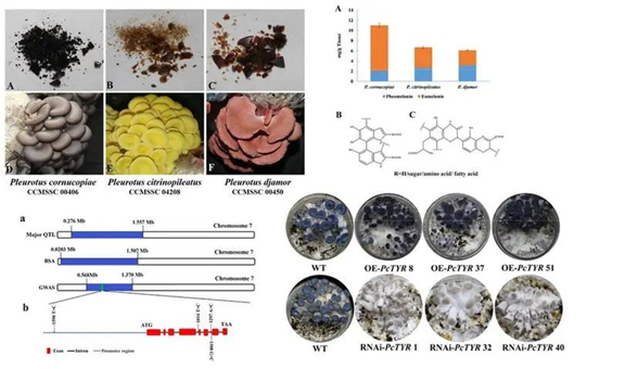 圖片關(guān)鍵詞 圖片關(guān)鍵詞