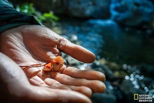 圖片關(guān)鍵詞 圖片關(guān)鍵詞