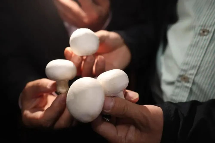 圖片關鍵詞 圖片關鍵詞