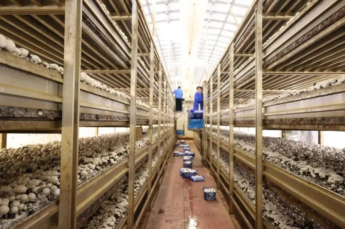 圖片關鍵詞 圖片關鍵詞