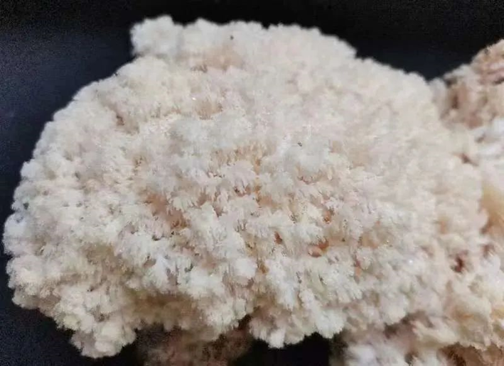 圖片關鍵詞 圖片關鍵詞