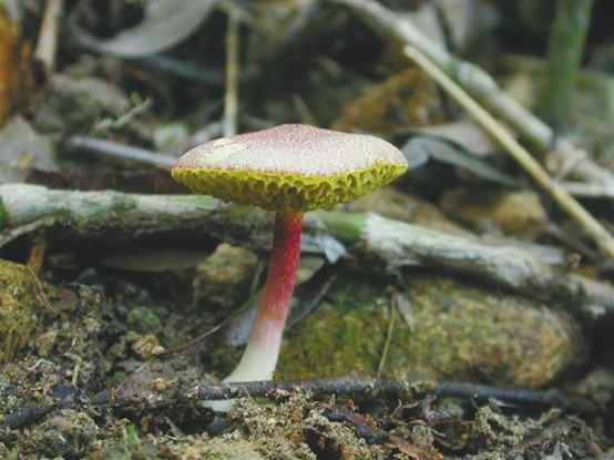 圖片關鍵詞 圖片關鍵詞