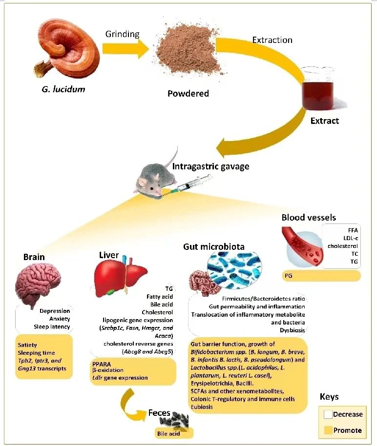 圖片關鍵詞 圖片關鍵詞