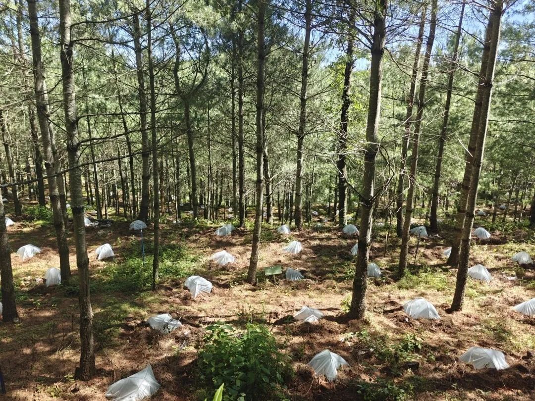 圖片關鍵詞 圖片關鍵詞