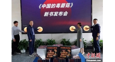 行業(yè)動態(tài)